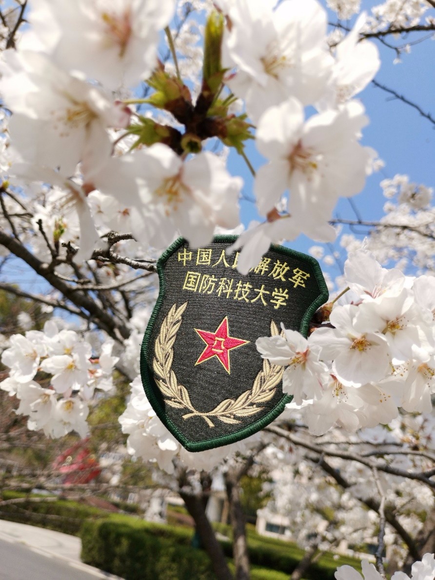 军校"醉美"春景:国防科技大学电子对抗学院