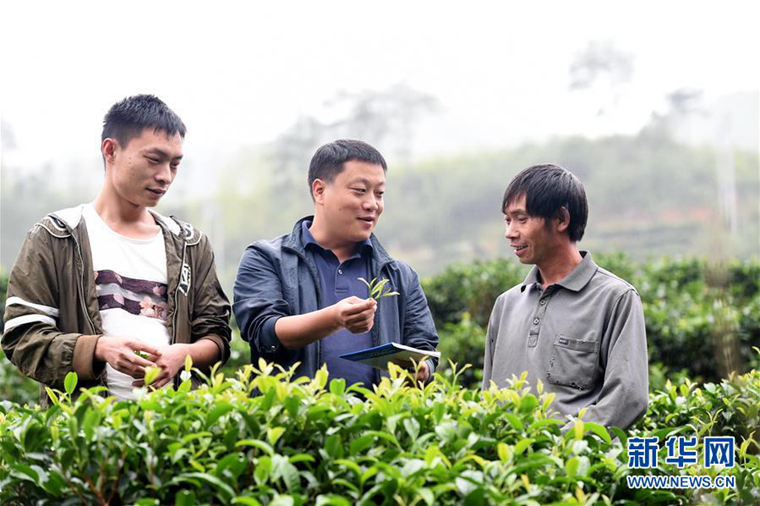 曾守福:撒播希望的驻村第一书记