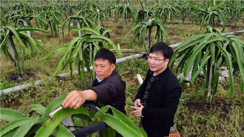 八桂儿女传：陈保善把论文书写在大地上