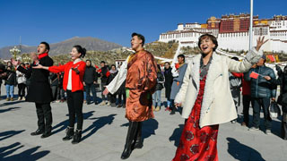 《西藏的主权归属与人权状况》