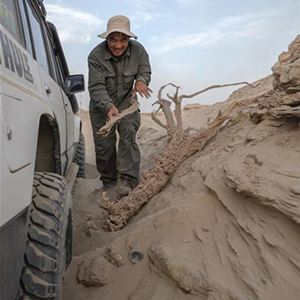 新疆巴州文物局司机皮明忠的故事：大漠戈壁里的飞驰人生