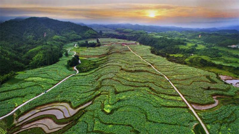 科技助力，农旅结合 红色老区建宁“绿色崛起”