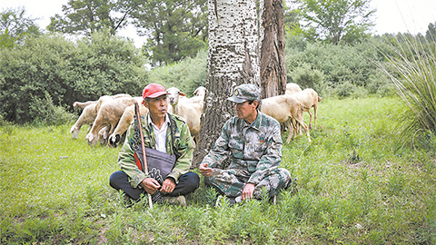 高清大图｜塞北荒山，老兵播种“绿色梦”