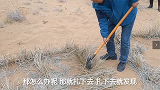 【母亲河畔的中国】治理沙害，这个小格子起了大作用！