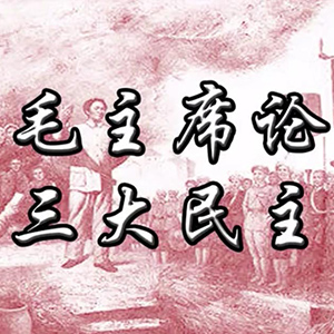 论三大民主