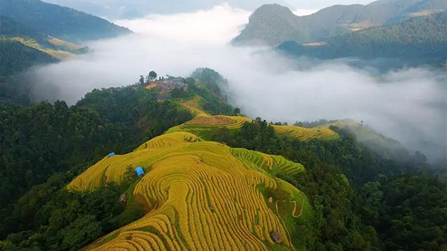 《领航》第10集 绿水青山