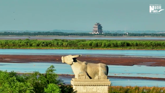 【江河奔腾看中国】云端鸟瞰黄河湿地 烟波浩渺野茫茫