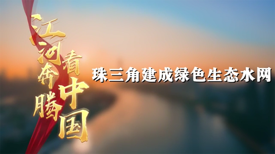 江河奔腾看中国·珠江新颜|珠三角建成绿色生态水网