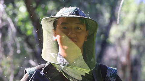 “蚊虫王国”巡逻记