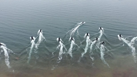 特战旅赴海驻训 “陆地猛虎”秒变“水中蛟龙”
