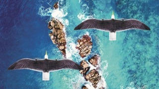 新装备展台丨“海鸥进化版”无人机亮相