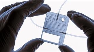 能自由弯曲的可逆智能材料