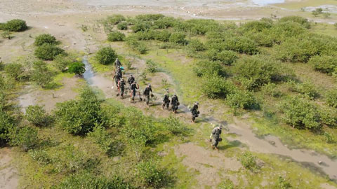 驻地植新绿 官兵在行动