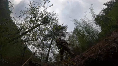 悬崖、毒虫、滑坡……这条边防巡逻路 步步惊险