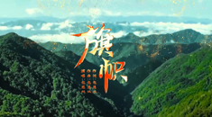 MV《旗帜》
