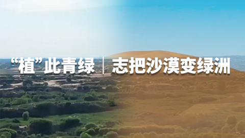“植”此青绿｜志把沙漠变绿洲