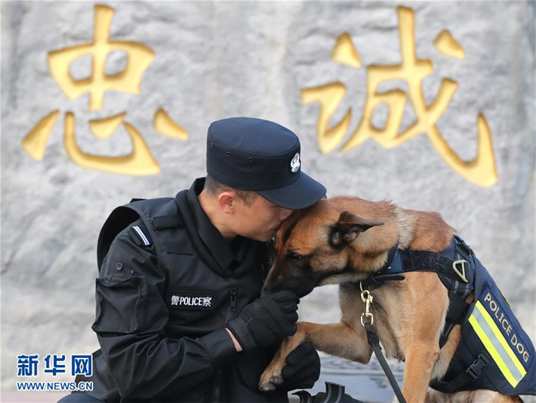 特殊"警探—走进北京市公安局警犬队