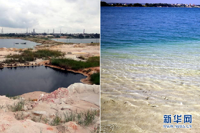 茂名幸福密码:油城复绿 乡村振兴