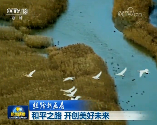 【丝路新画卷】和平之路 开创美好未来中国新闻