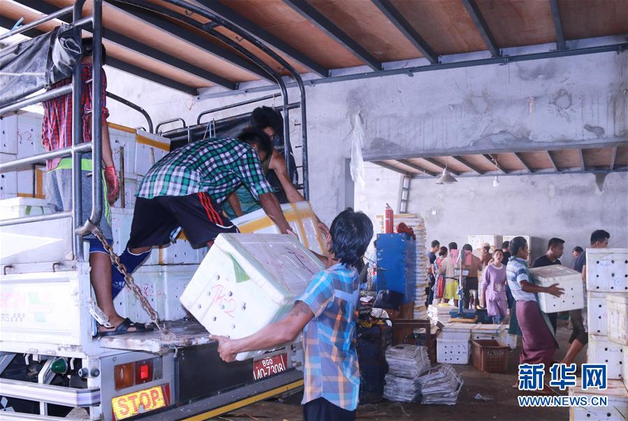 黄金|中国—东盟自贸区：“黄金十年”塑造世界经贸新格局