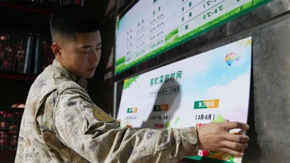 萝卜、土豆、大白菜……向右看齐！