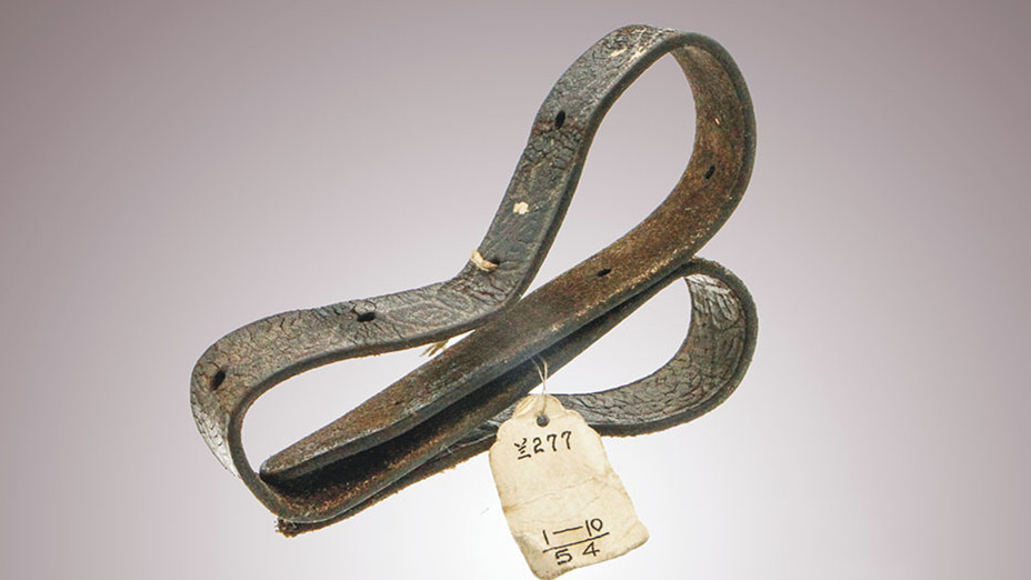 荒原草地好干粮 我是一条能充饥的皮带