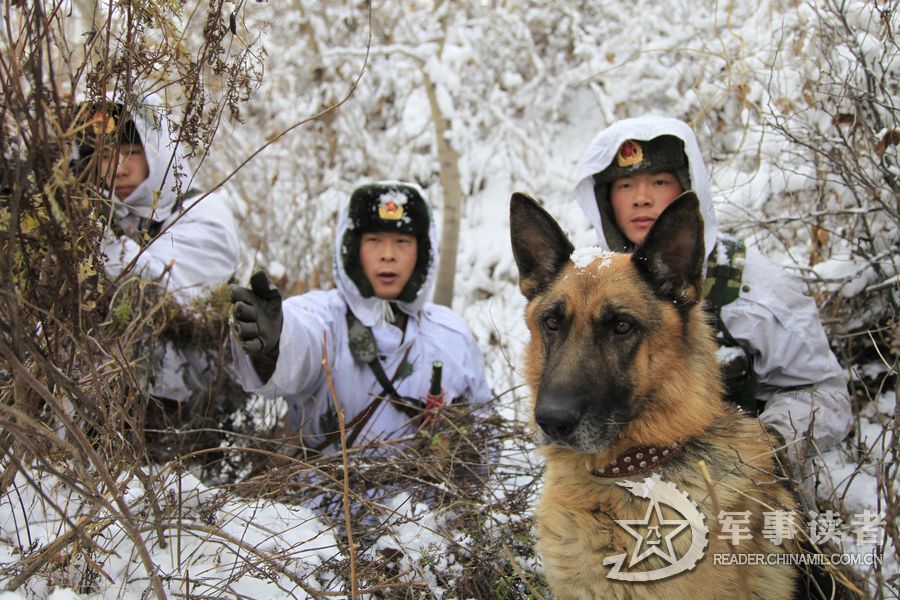 魏建顺作品《踏雪巡边脚步坚：实拍今冬初雪中的边防巡逻》
