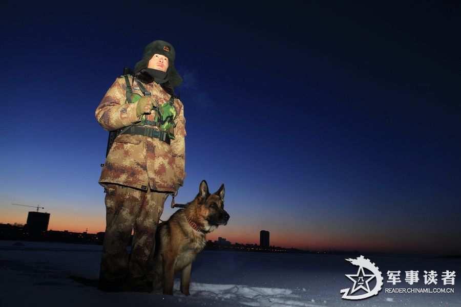 警惕的哨兵 魏建顺摄影