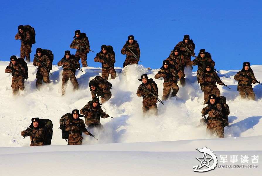 势如猛虎 魏建顺摄影