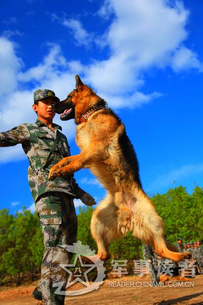 《沈阳军区某边防“老虎连”：实战演练猛如虎》