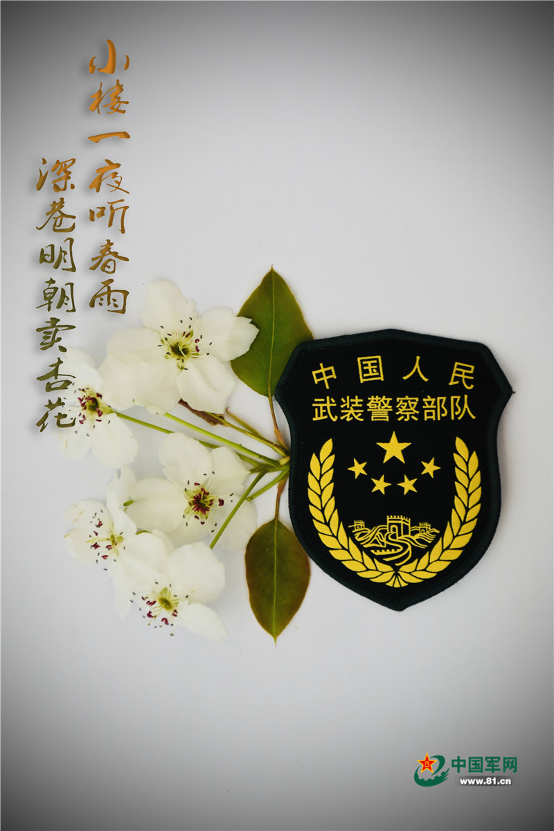 春景遇上武警,每一张都是壁纸