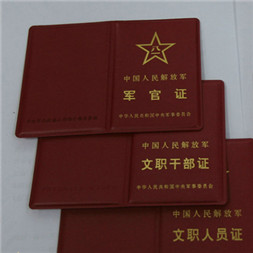 军人证件何时能网购车票?