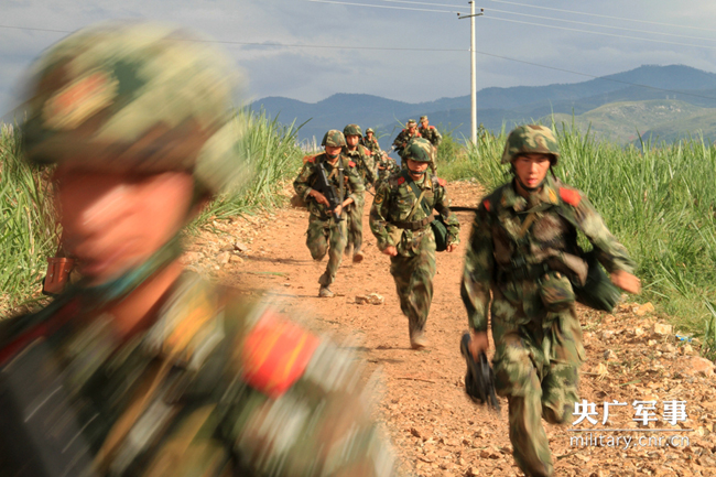 攀悬崖越"毒"区 武警官兵丛林演练 - 中国军网
