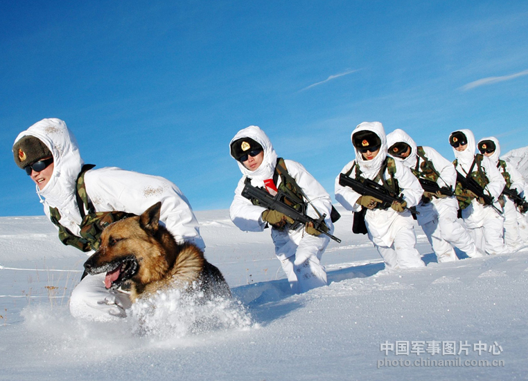 新年第一个月7部动画电影上映 - 中国军网