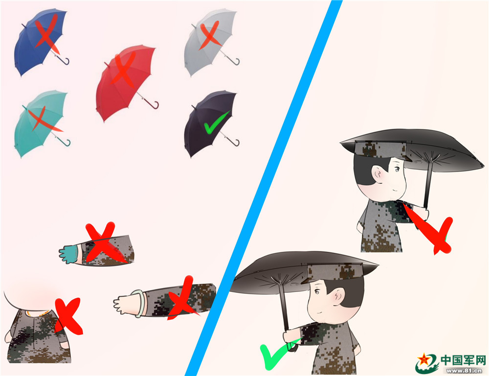 划重点|干货!萌漫带你学习新条令!