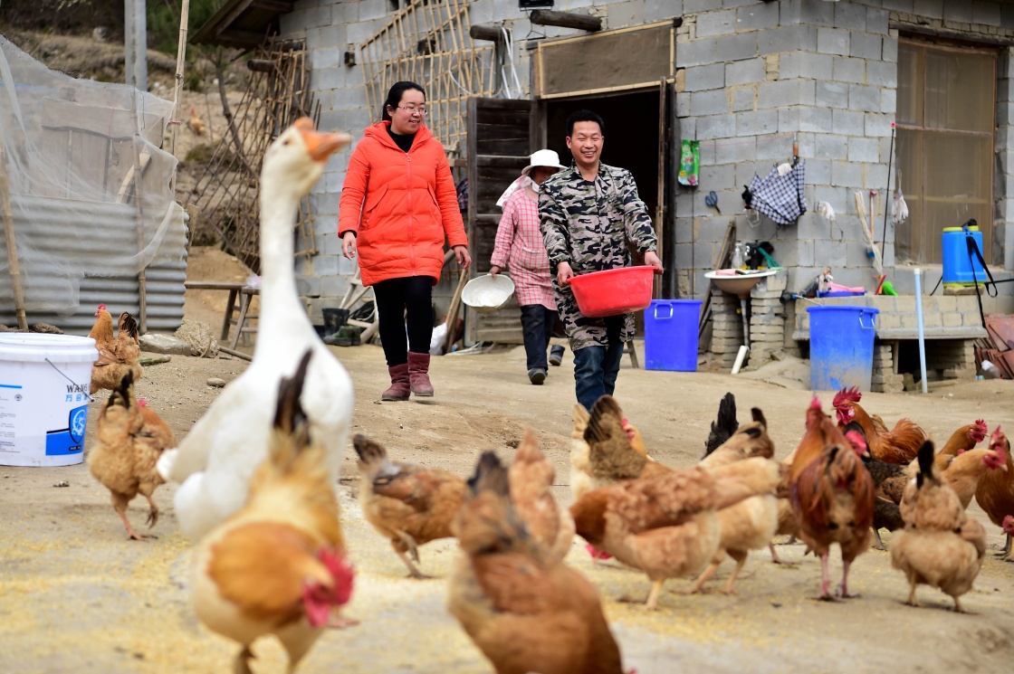 脱贫攻坚农村人口_农村脱贫攻坚图片(2)