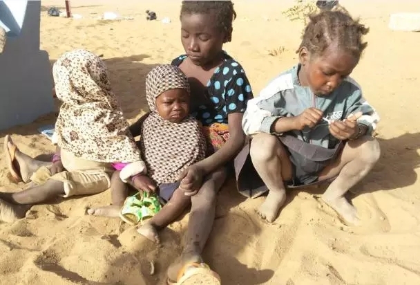 告诉你那些真实的维和故事