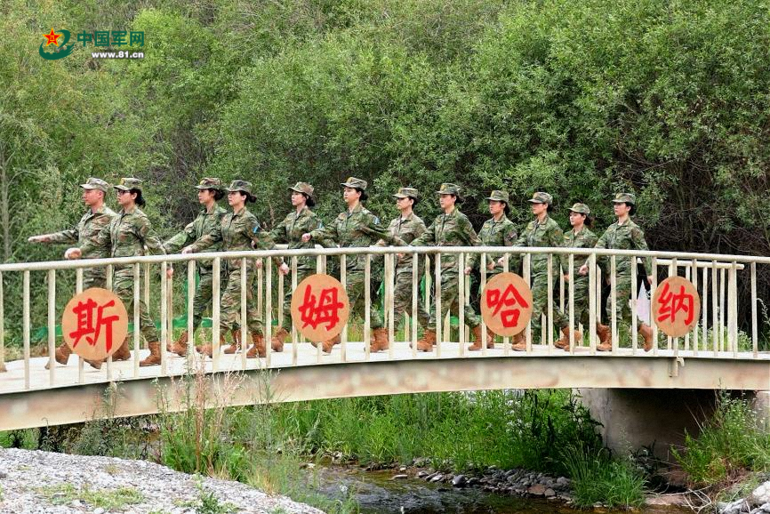 图片1