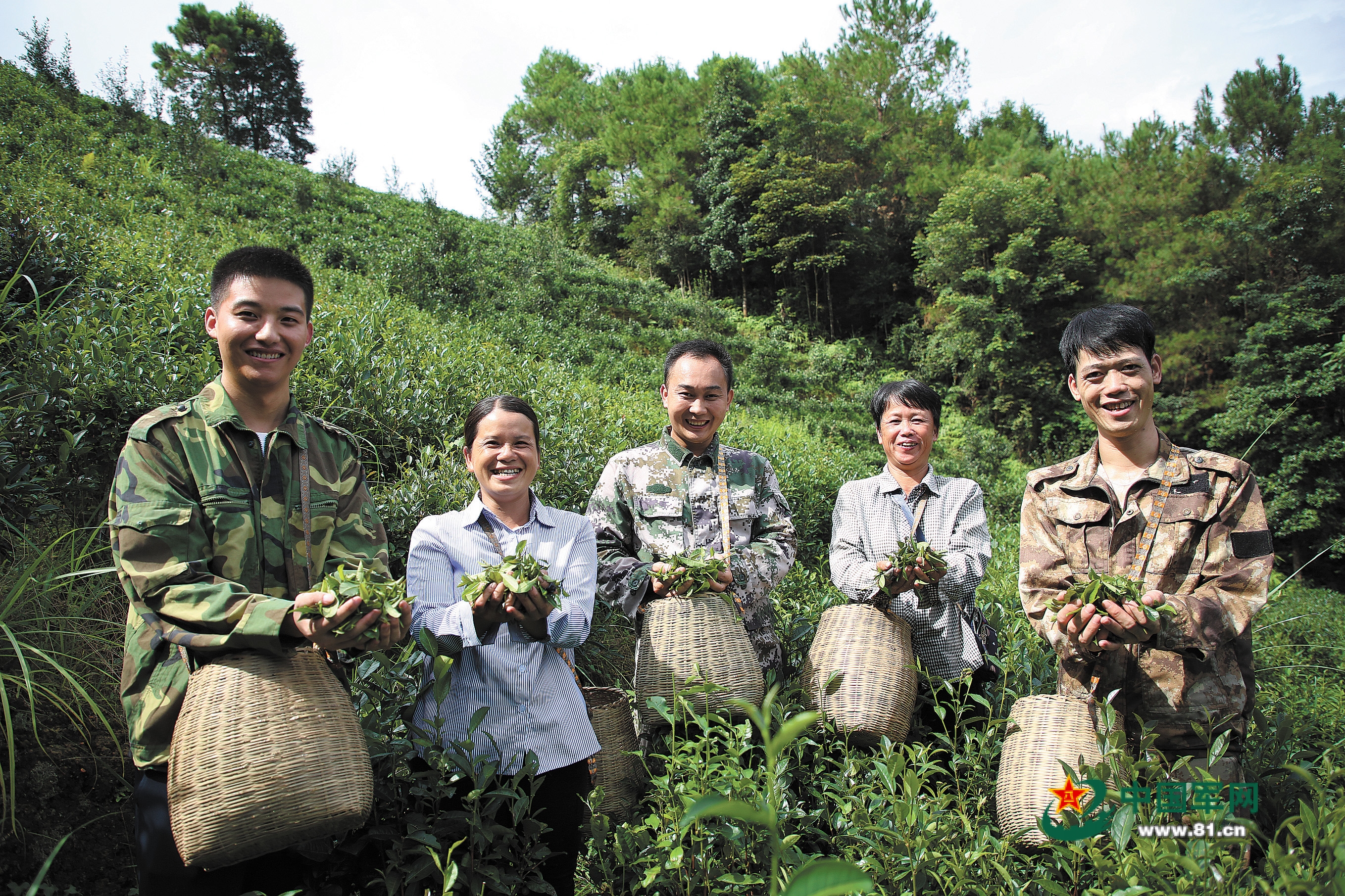 广西梧州市凝聚老兵力量，全方位助力退役军人投身家乡茶产业