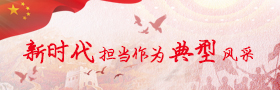 新时代担当作为典型风采