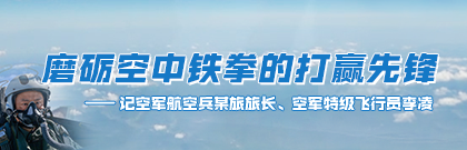 磨砺空中铁拳的打赢先锋——记空军航空兵某旅旅长、空军特级飞行员李凌