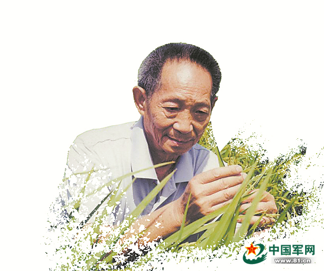 像袁隆平那样执着于梦想