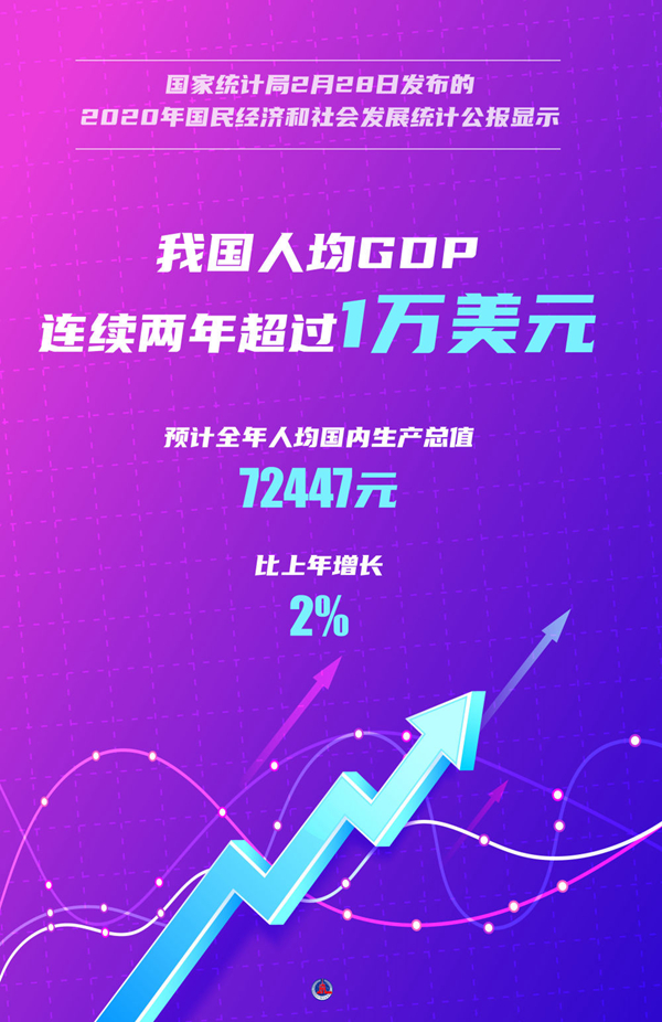 2020国家统计局中国gdp(2)