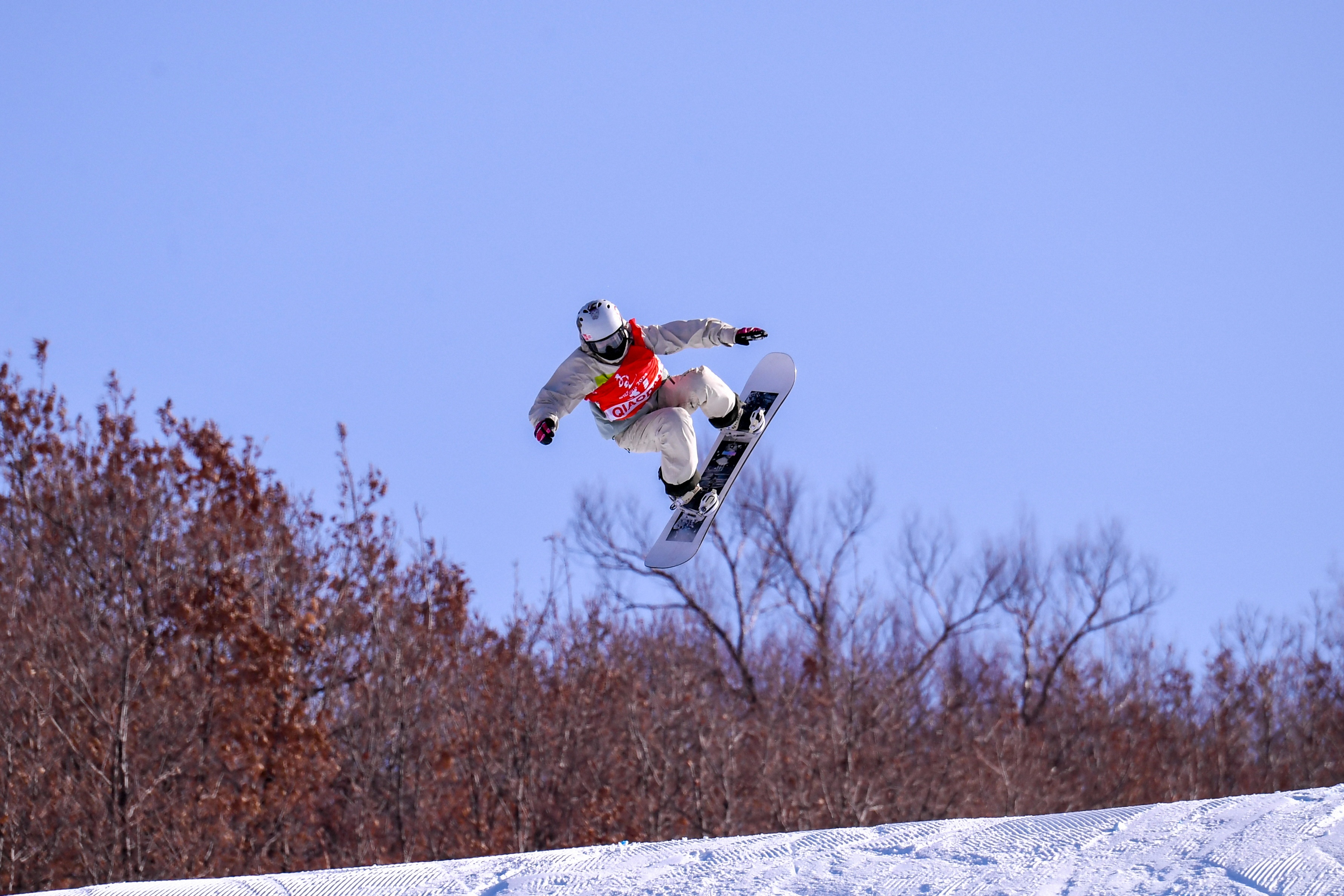 f67a79afc908489ea4992e982c700b24