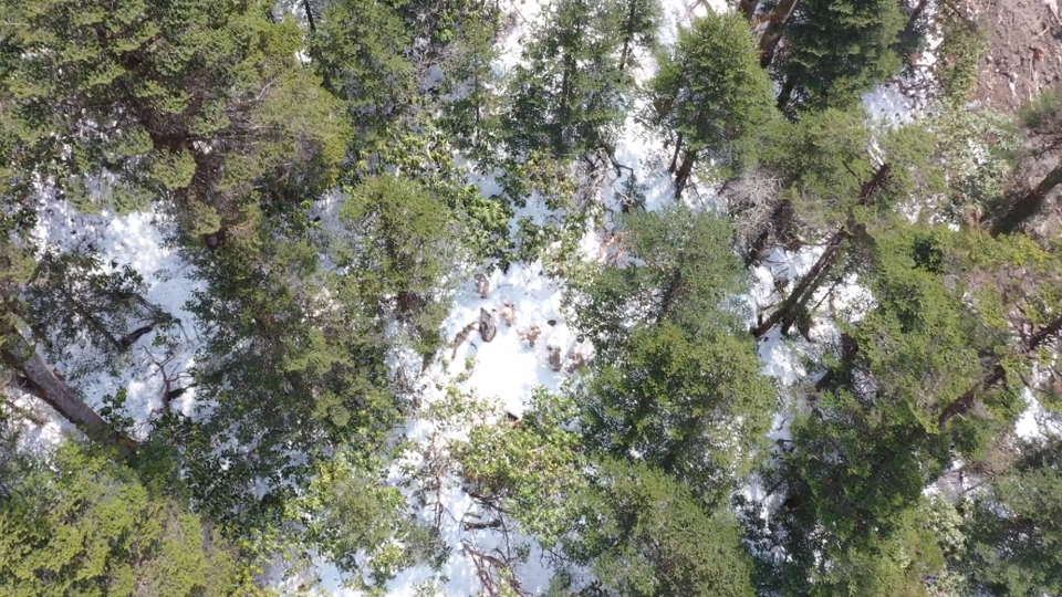 翻越80度“牦牛坡”，他们来到拉孜拉巡诊