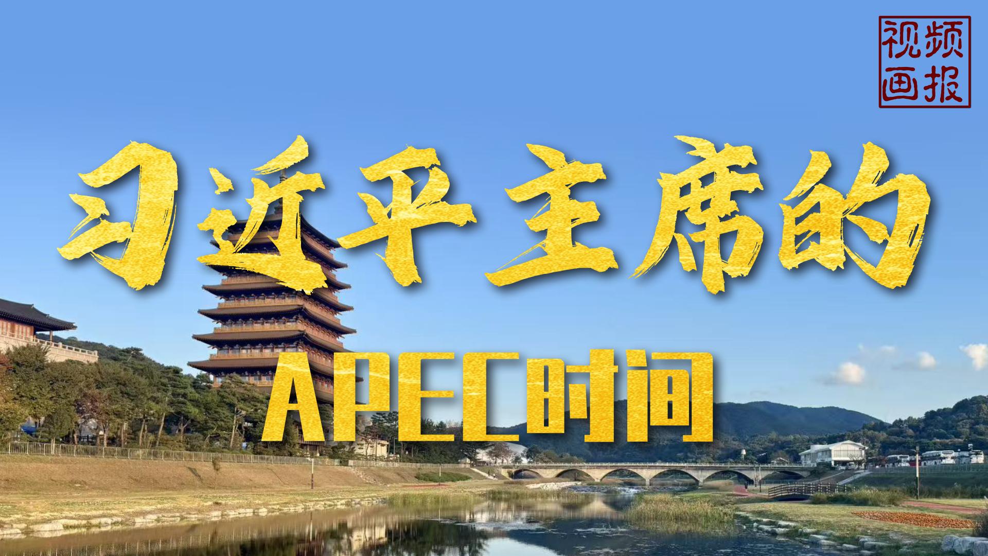 视频画报｜习近平主席的APEC时间