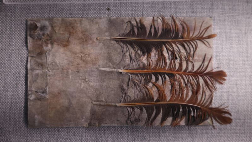 《鸡毛信》：群众语言写成的抗战经典