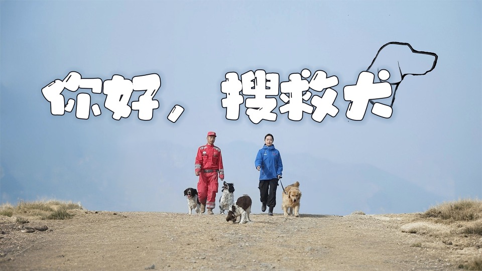 你好，搜救犬丨“萌兵”点点：我超级厉害的