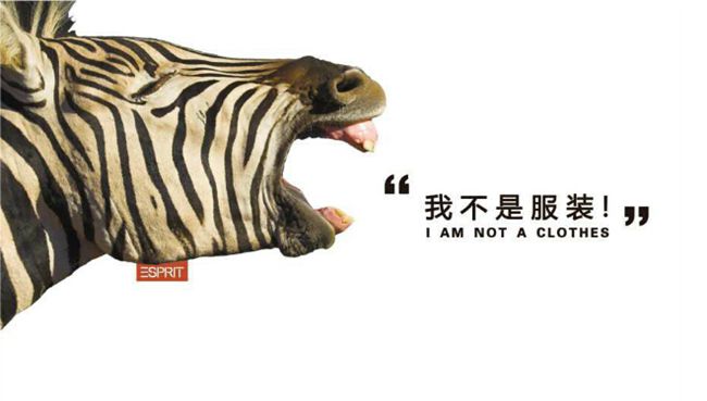 世界动物日:越文明越善待 盘点最濒危动物的宝