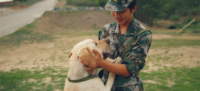 中国精兵第一期：搜救犬是怎样“炼”成的